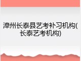 漳州长泰县艺考补习机构(长泰艺考机构)