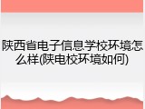陕西省电子信息学校环境怎么样(陕电校环境如何)