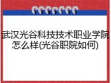 武汉光谷科技技术职业学院怎么样(光谷职院如何)