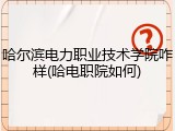 哈尔滨电力职业技术学院咋样(哈电职院如何)