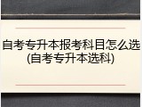 自考专升本报考科目怎么选(自考专升本选科)