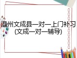 温州文成县一对一上门补习(文成一对一辅导)