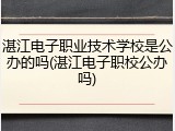 湛江电子职业技术学校是公办的吗(湛江电子职校公办吗)