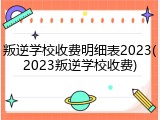 叛逆学校收费明细表2023(2023叛逆学校收费)