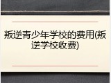 叛逆青少年学校的费用(叛逆学校收费)