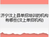 济宁汶上县单招培训的机构有哪些(汶上单招机构)
