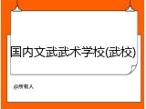 国内文武武术学校(武校)