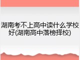 湖南考不上高中读什么学校好(湖南高中落榜择校)