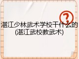 湛江少林武术学校干什么的(湛江武校教武术)