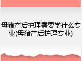 母猪产后护理需要学什么专业(母猪产后护理专业)