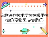 宠物医疗技术学校在哪里技校好(宠物医技校哪好)
