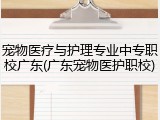 宠物医疗与护理专业中专职校广东(广东宠物医护职校)