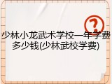 少林小龙武术学校一年学费多少钱(少林武校学费)