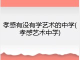 孝感有没有学艺术的中学(孝感艺术中学)