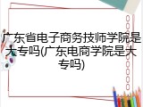 广东省电子商务技师学院是大专吗(广东电商学院是大专吗)