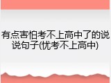 有点害怕考不上高中了的说说句子(忧考不上高中)
