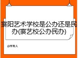 襄阳艺术学校是公办还是民办(襄艺校公办民办)