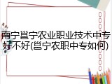 南宁邕宁农业职业技术中专好不好(邕宁农职中专如何)