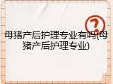 母猪产后护理专业有吗(母猪产后护理专业)