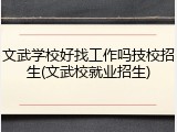 文武学校好找工作吗技校招生(文武校就业招生)