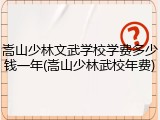 嵩山少林文武学校学费多少钱一年(嵩山少林武校年费)
