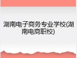 湖南电子商务专业学校(湖南电商职校)