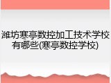 潍坊寒亭数控加工技术学校有哪些(寒亭数控学校)