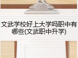 文武学校好上大学吗职中有哪些(文武职中升学)