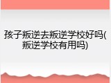 孩子叛逆去叛逆学校好吗(叛逆学校有用吗)