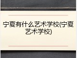 宁夏有什么艺术学校(宁夏艺术学校)