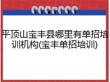 平顶山宝丰县哪里有单招培训机构(宝丰单招培训)