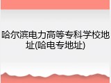 哈尔滨电力高等专科学校地址(哈电专地址)