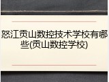 怒江贡山数控技术学校有哪些(贡山数控学校)