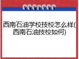 西南石油学校技校怎么样(西南石油技校如何)