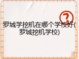罗城学挖机在哪个学校好(罗城挖机学校)