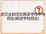 武汉全封闭式叛逆学校中专招生(叛逆学校招生)