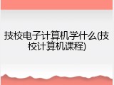 技校电子计算机学什么(技校计算机课程)
