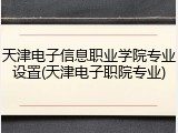 天津电子信息职业学院专业设置(天津电子职院专业)
