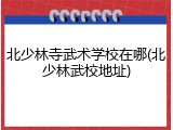 北少林寺武术学校在哪(北少林武校地址)