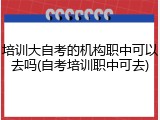 培训大自考的机构职中可以去吗(自考培训职中可去)