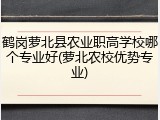 鹤岗萝北县农业职高学校哪个专业好(萝北农校优势专业)