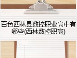百色西林县数控职业高中有哪些(西林数控职高)