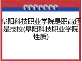 阜阳科技职业学院是职高还是技校(阜阳科技职业学院性质)