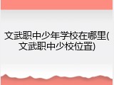 文武职中少年学校在哪里(文武职中少校位置)