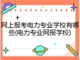 网上报考电力专业学校有哪些(电力专业网报学校)