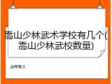 嵩山少林武术学校有几个(嵩山少林武校数量)
