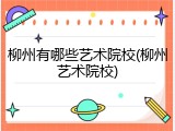 柳州有哪些艺术院校(柳州艺术院校)