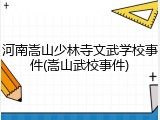 河南嵩山少林寺文武学校事件(嵩山武校事件)