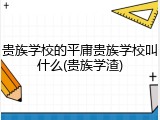 贵族学校的平庸贵族学校叫什么(贵族学渣)