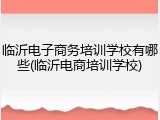 临沂电子商务培训学校有哪些(临沂电商培训学校)